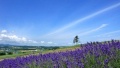 大鸡巴操美屄日本一地6日游  境外旅游 6880元/人